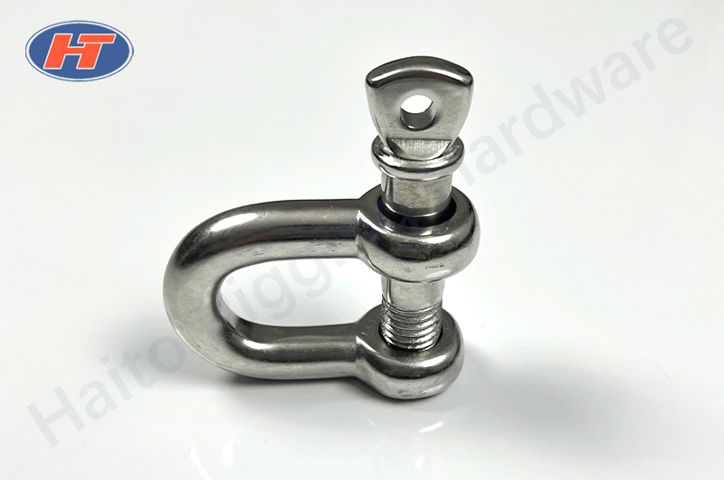 Straight D Stainless Steel Shackle with Screw Pin-Haito Group Rigging Hardware
